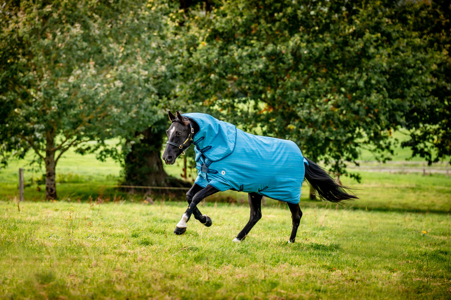 Amigo® Hero 900 Revive Plus Turnout, 50g Light, Ocean Blue/Navy & Electric Blue, 145 cm, 160 cm