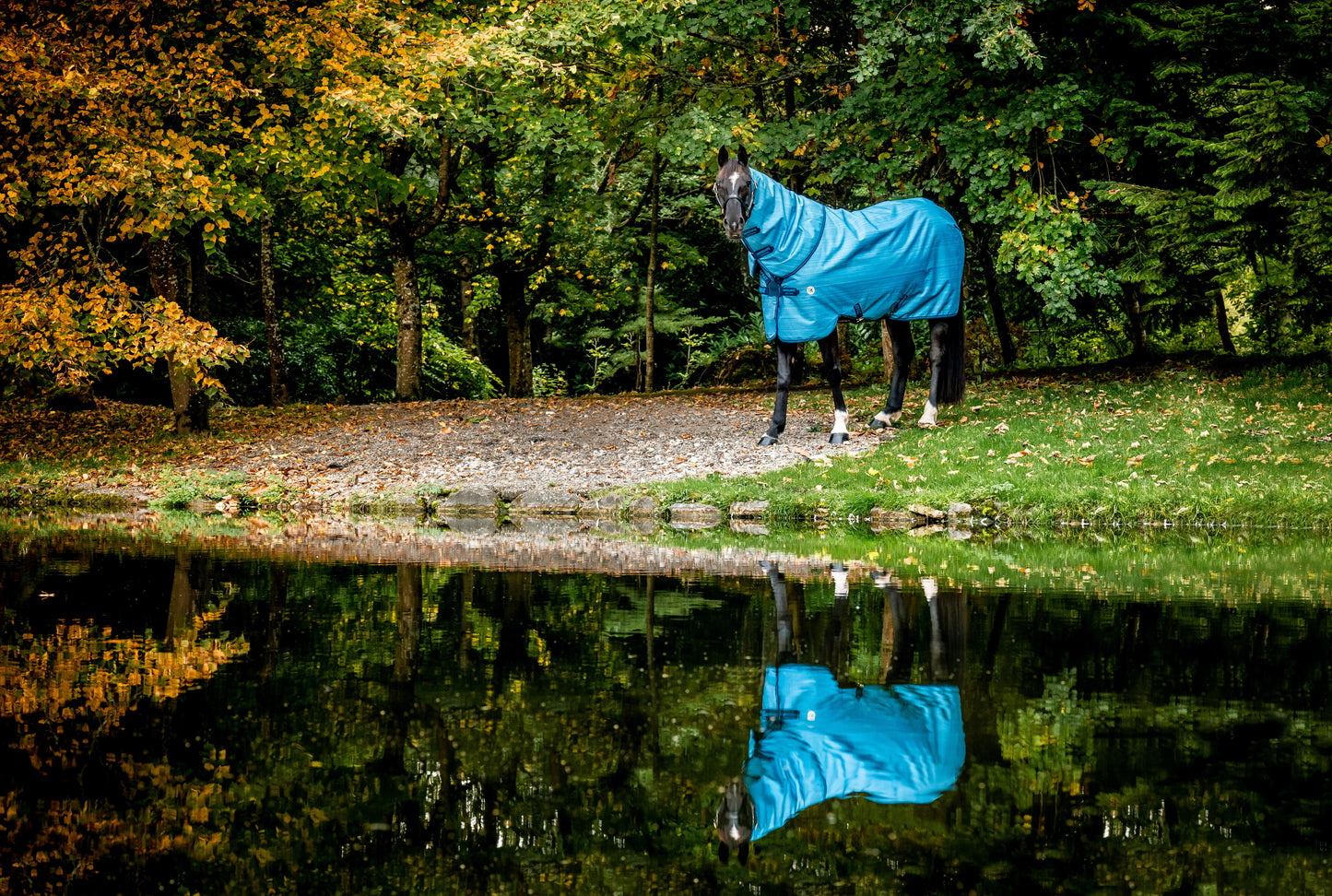 Amigo® Hero 900 Revive Plus Turnout, 50g Light, Ocean Blue/Navy & Electric Blue, 145 cm, 160 cm