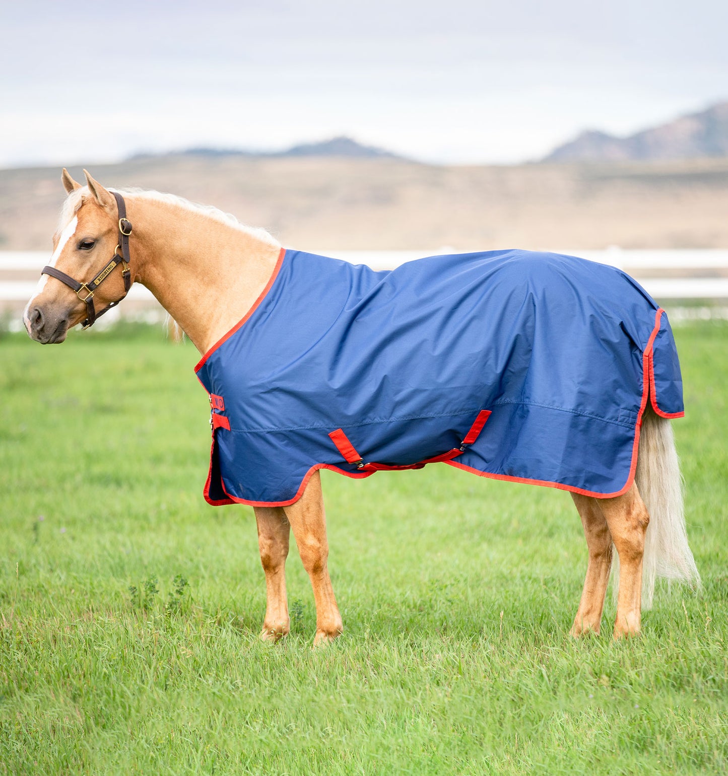 MIO TURNOUT LITE 0G, Dark Blue/Dark Blue & Red