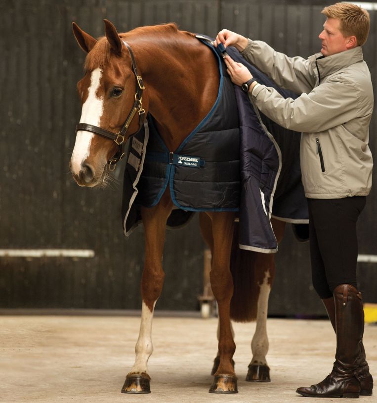 Horseware Liner 100g