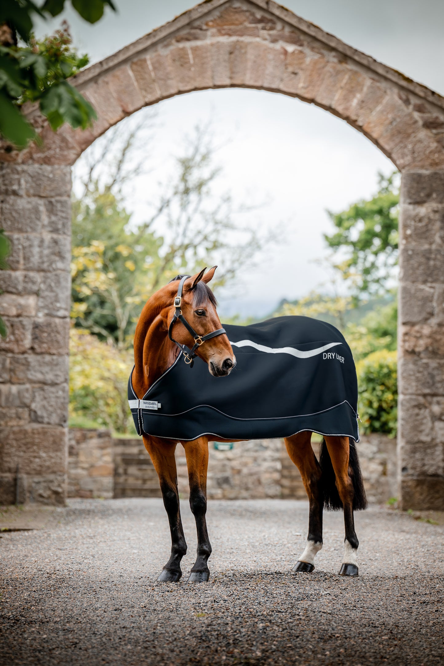 Horseware® Dry Liner (50g Light)
