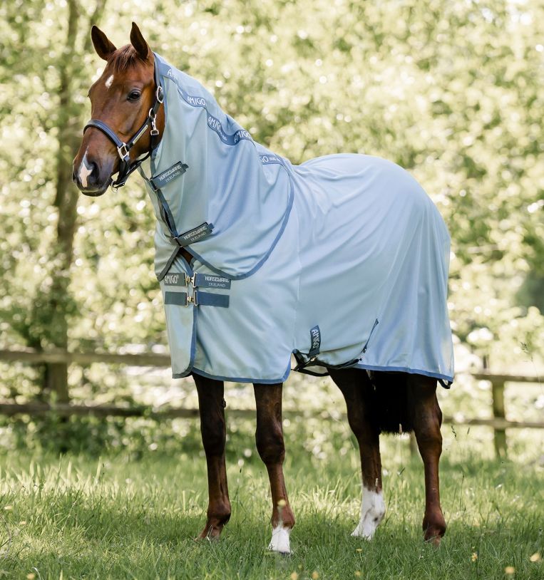Amigo Bug Rug Plus Fly Sheet (Heather Blue/Blue & Silver)
