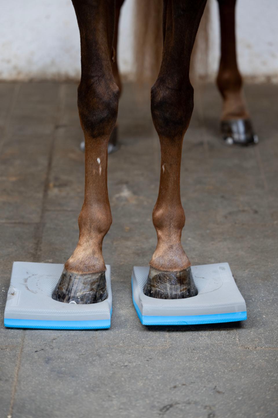Horse Guard Balance pads, set of 2