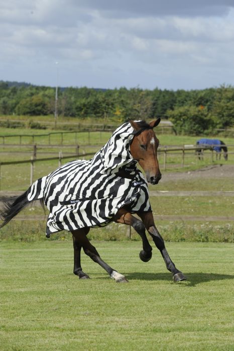 Buzz-Off Zebra Full-Neck