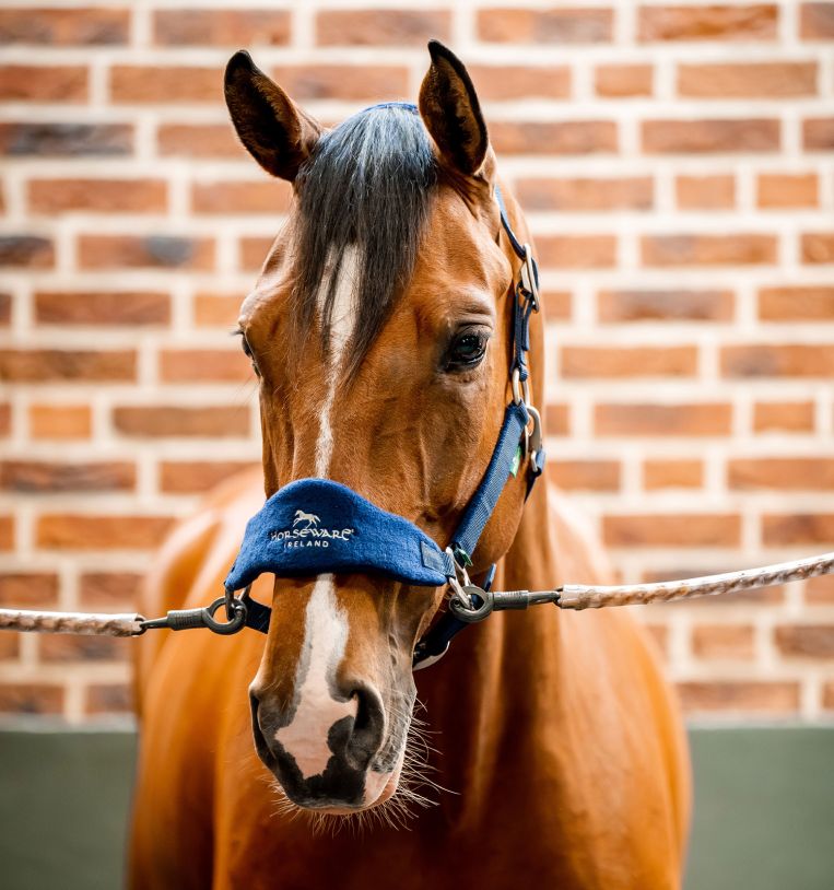 Horseware® Signature Grooming Headcollar