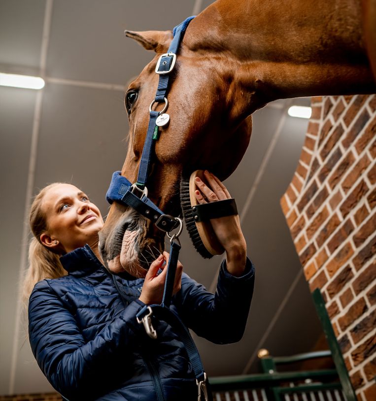 Horseware® Signature Grooming Headcollar