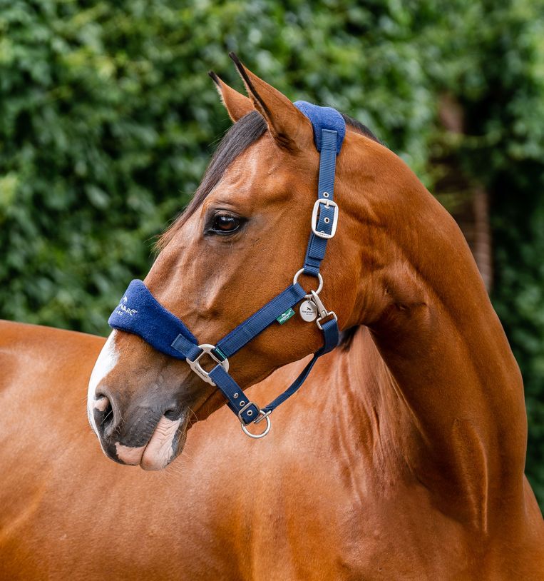 Horseware® Signature Grooming Headcollar