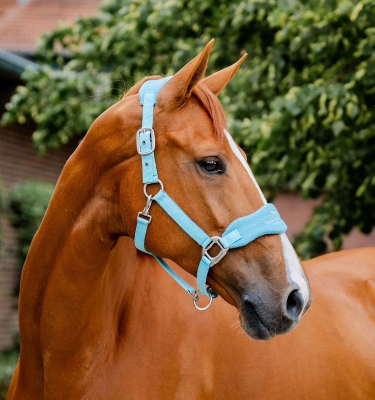 Horseware® Signature Grooming Headcollar