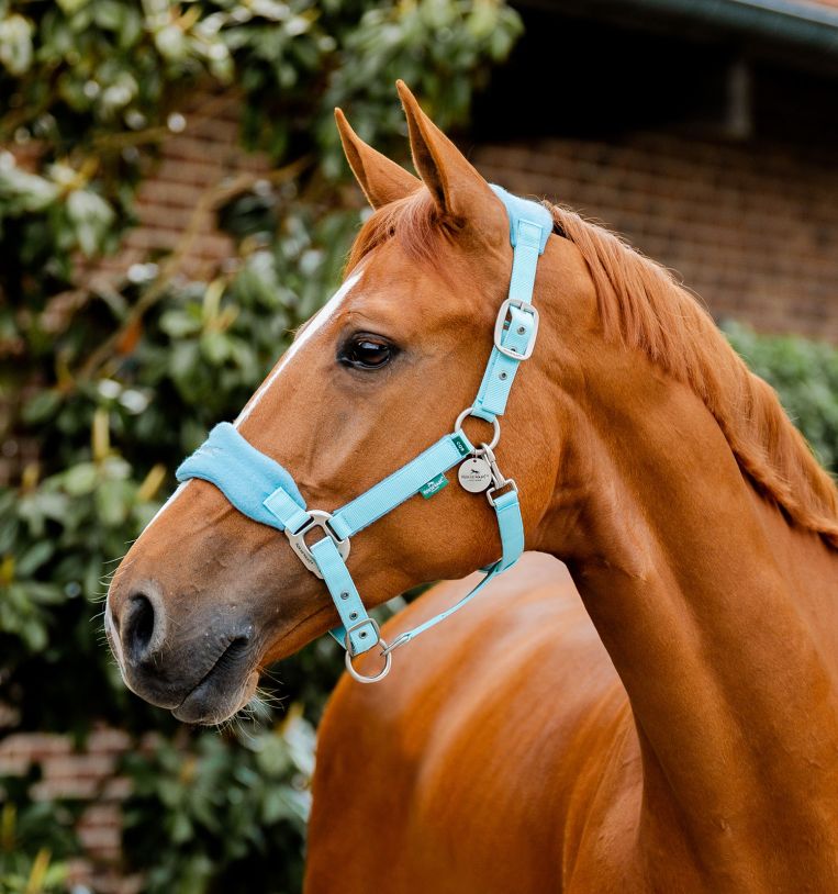 Horseware® Signature Grooming Headcollar