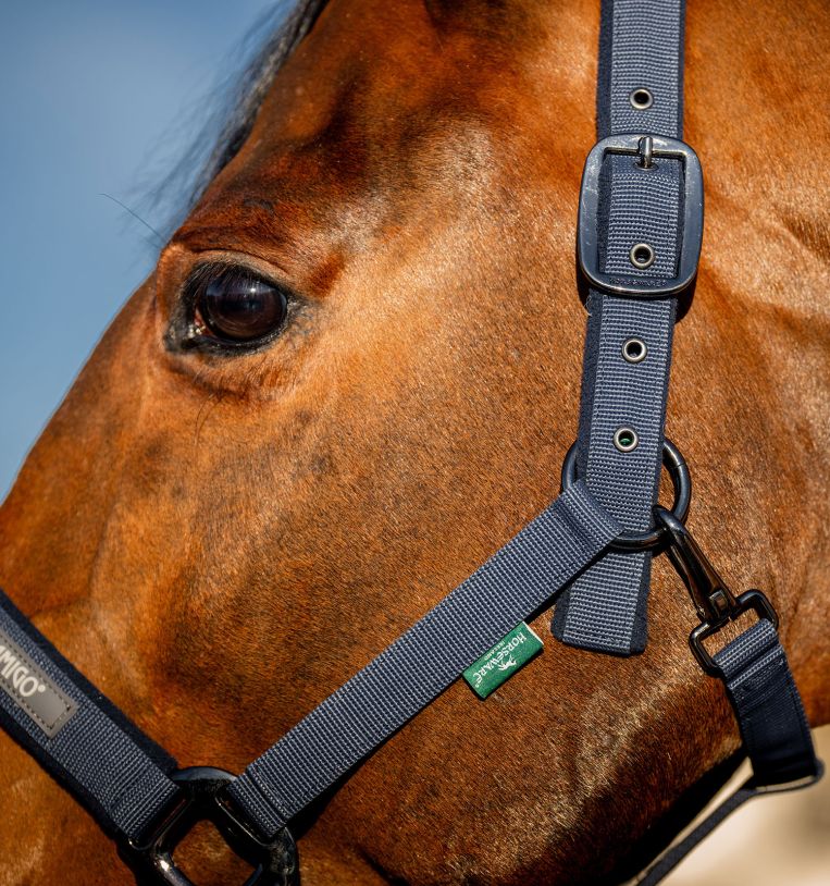 Amigo® Headcollar & Leadrope Set