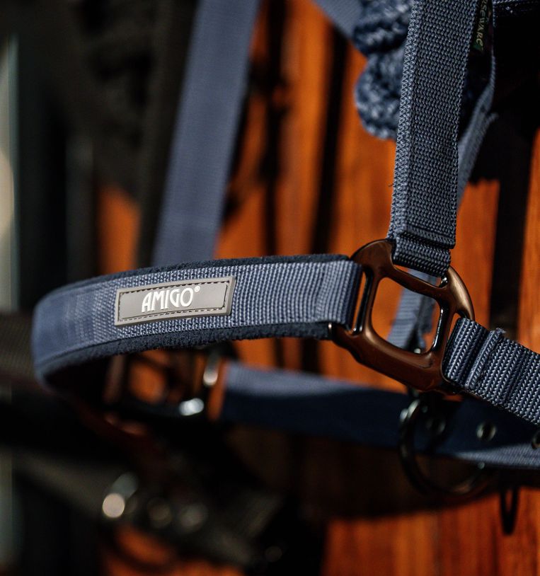 Amigo® Headcollar & Leadrope Set