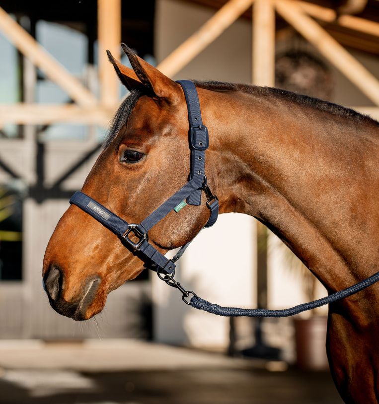 Amigo® Headcollar & Leadrope Set