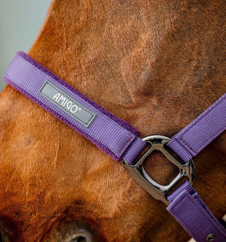 Amigo® Headcollar & Leadrope Set