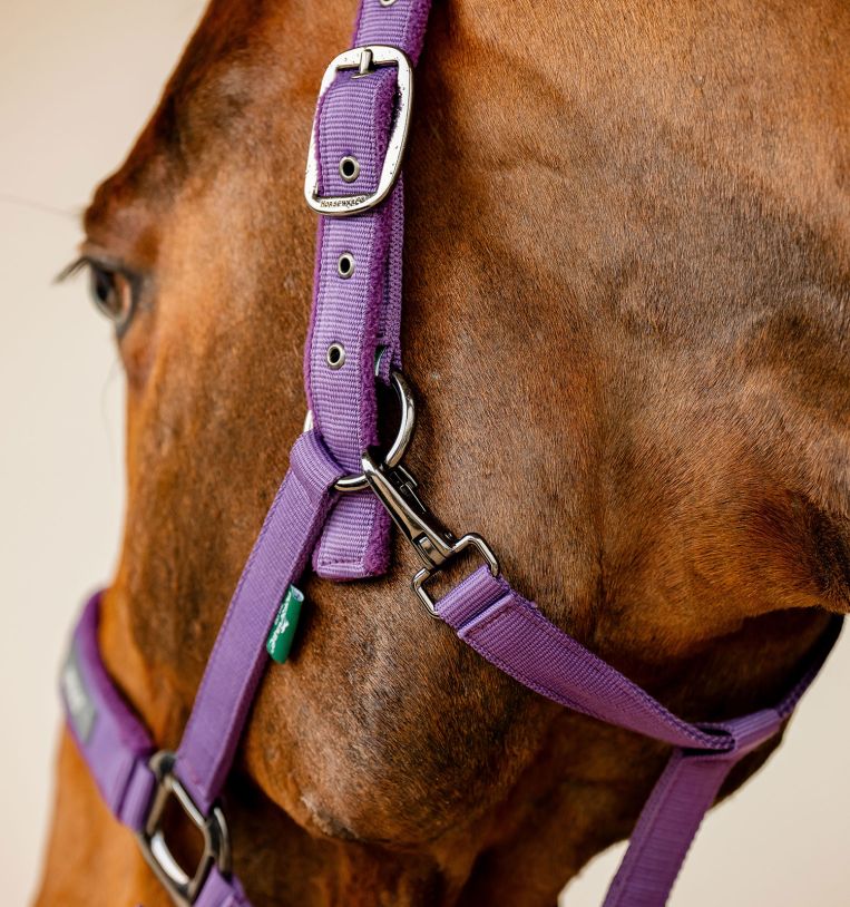 Amigo® Headcollar & Leadrope Set