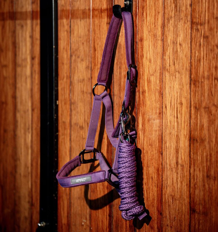 Amigo® Headcollar & Leadrope Set