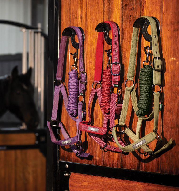 Amigo® Headcollar & Leadrope Set