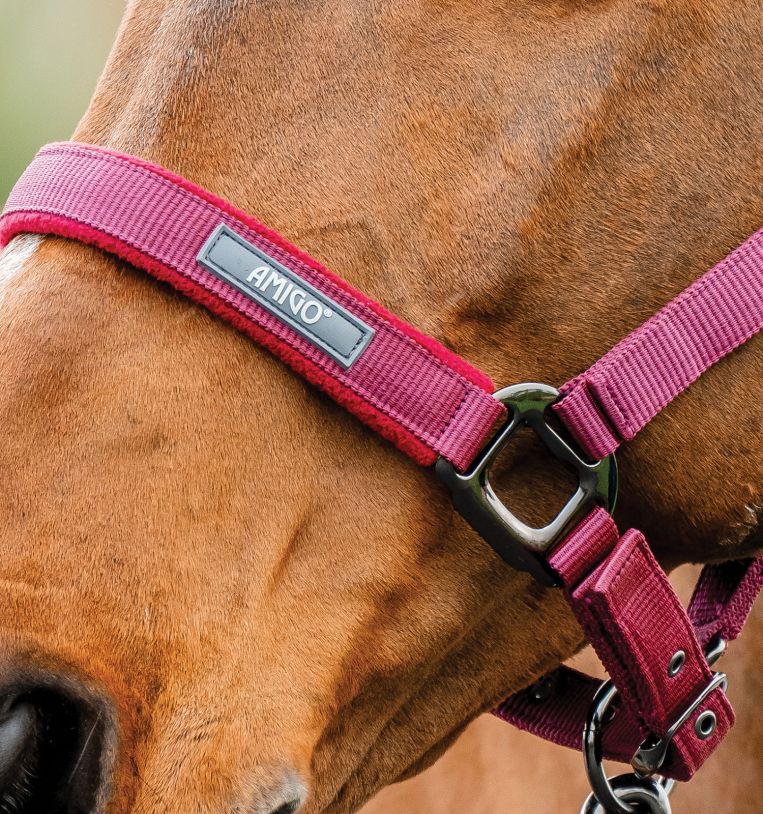 Amigo® Headcollar & Leadrope Set