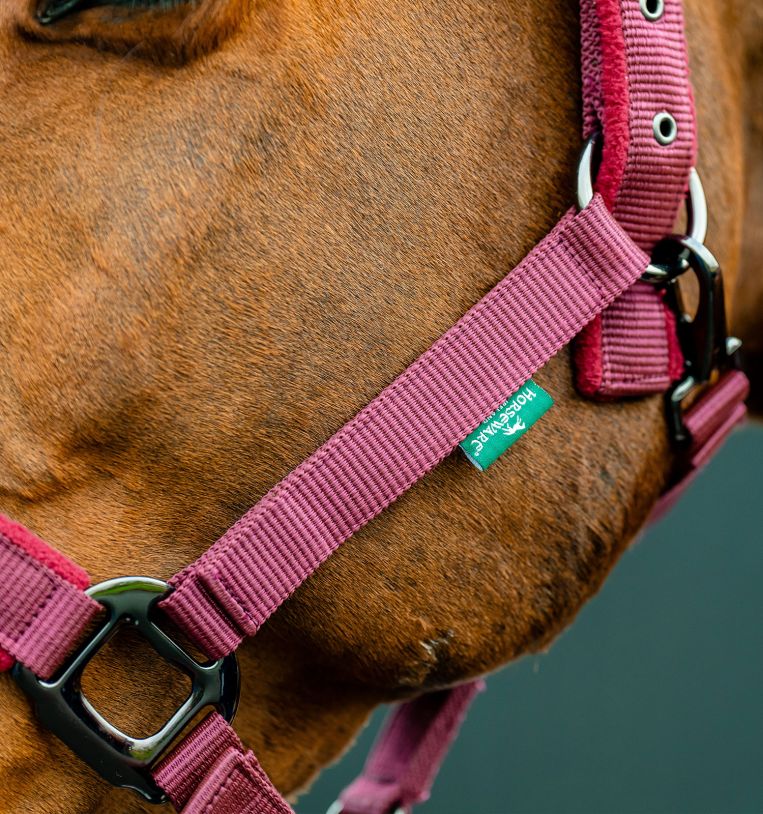 Amigo® Headcollar & Leadrope Set