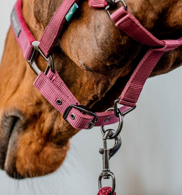 Amigo® Headcollar & Leadrope Set