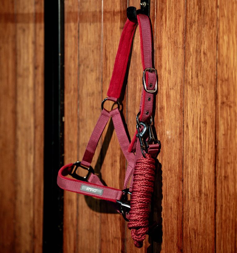 Amigo® Headcollar & Leadrope Set