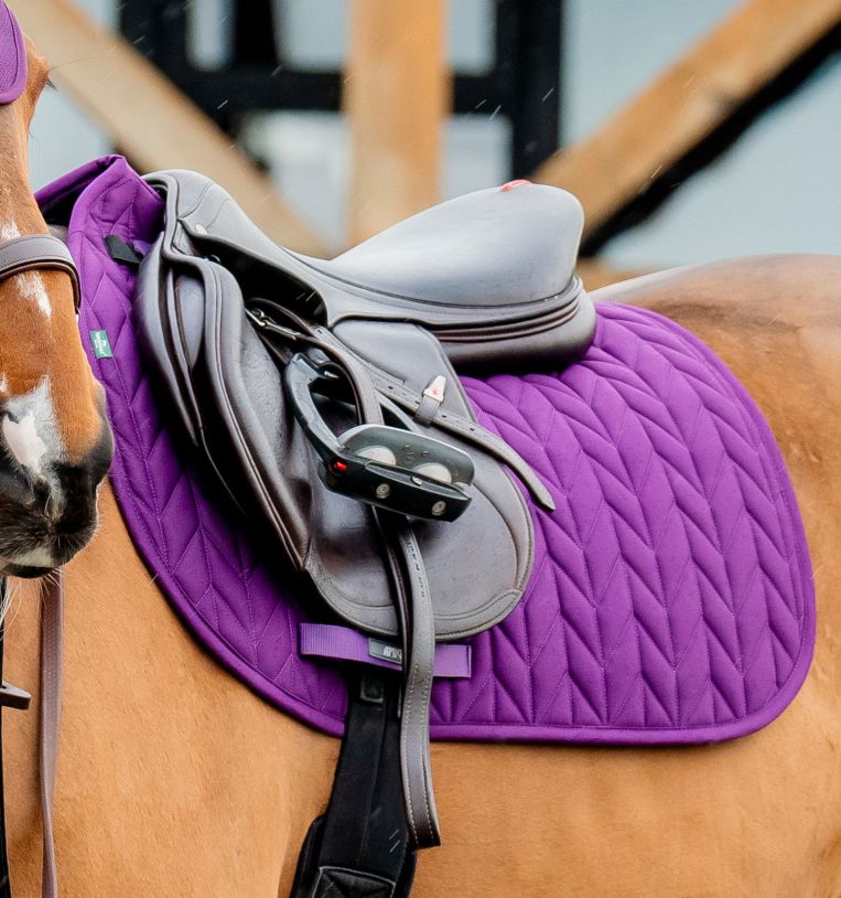 Amigo Jumping Saddle Pad