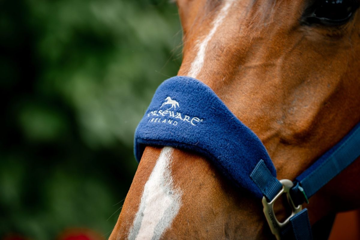 Horseware® Signature Grooming Headcollar