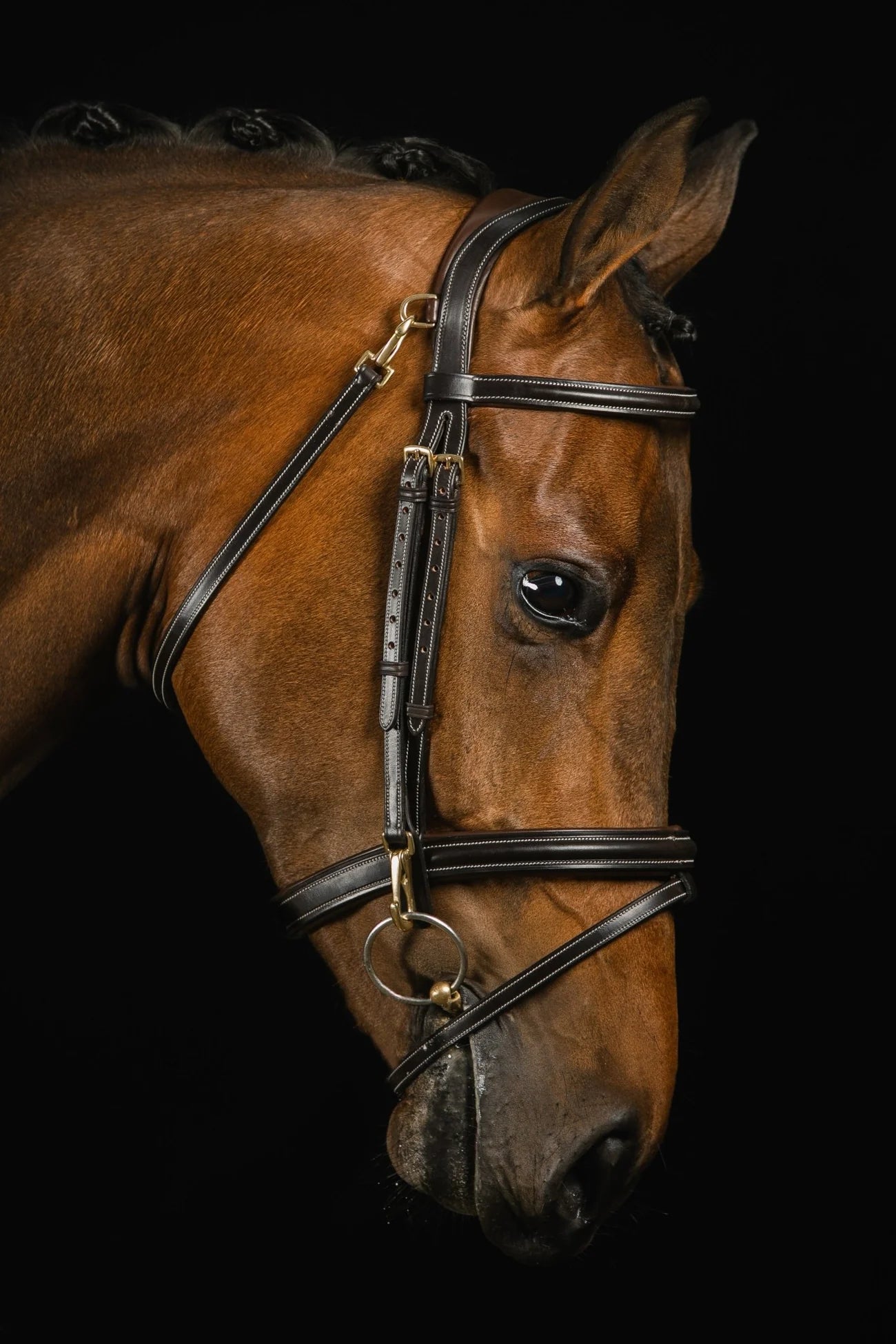 ORTEGA BRIDLE - DARK BROWN, Full