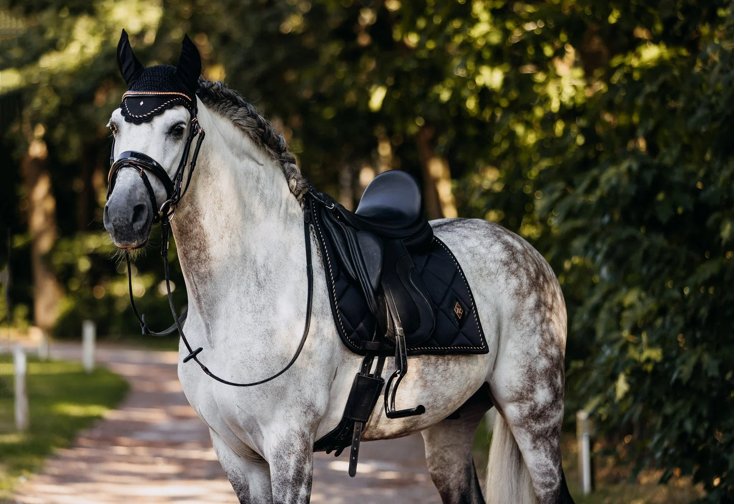 REGULAR ITALIAN LEATHER BRIDLE - ROSÉ, FULL