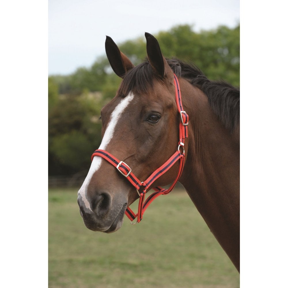 ROMA HEADCOLLAR LEAD SET, FULL – Three Horses SIA