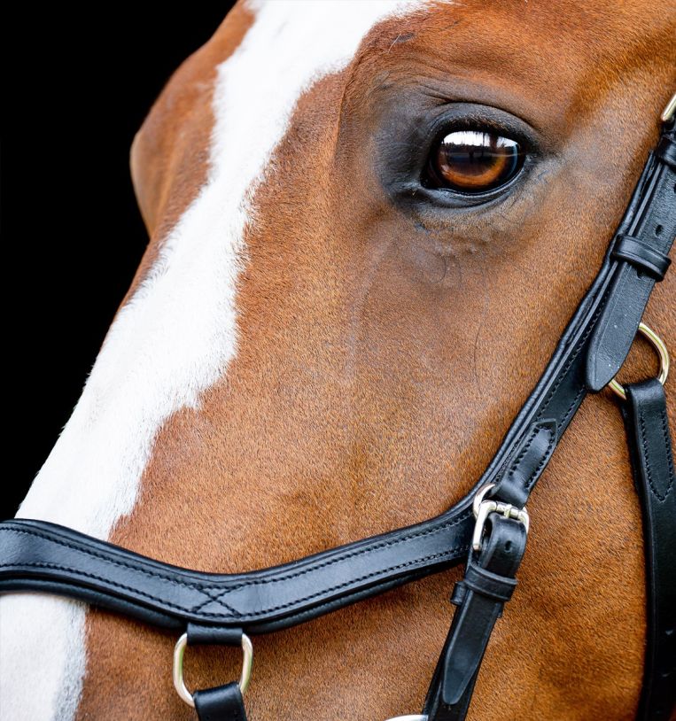 Horseware Micklem 2 Competition Bridle, BLACK, Large horse