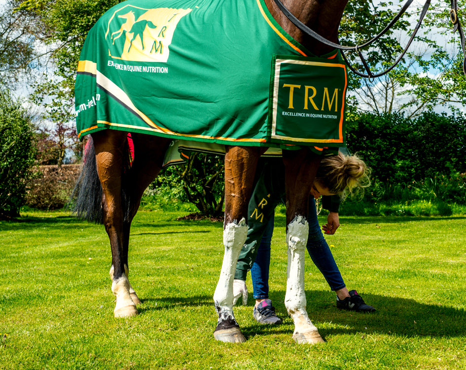 TRM STAYSOUND