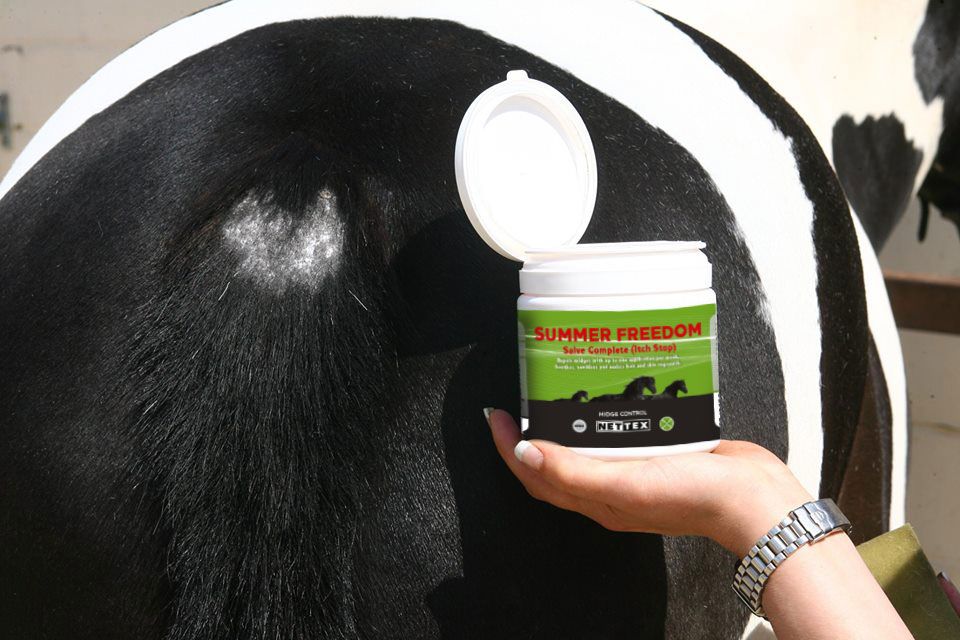 SUMMER FLY CREAM - Three Horses SIA