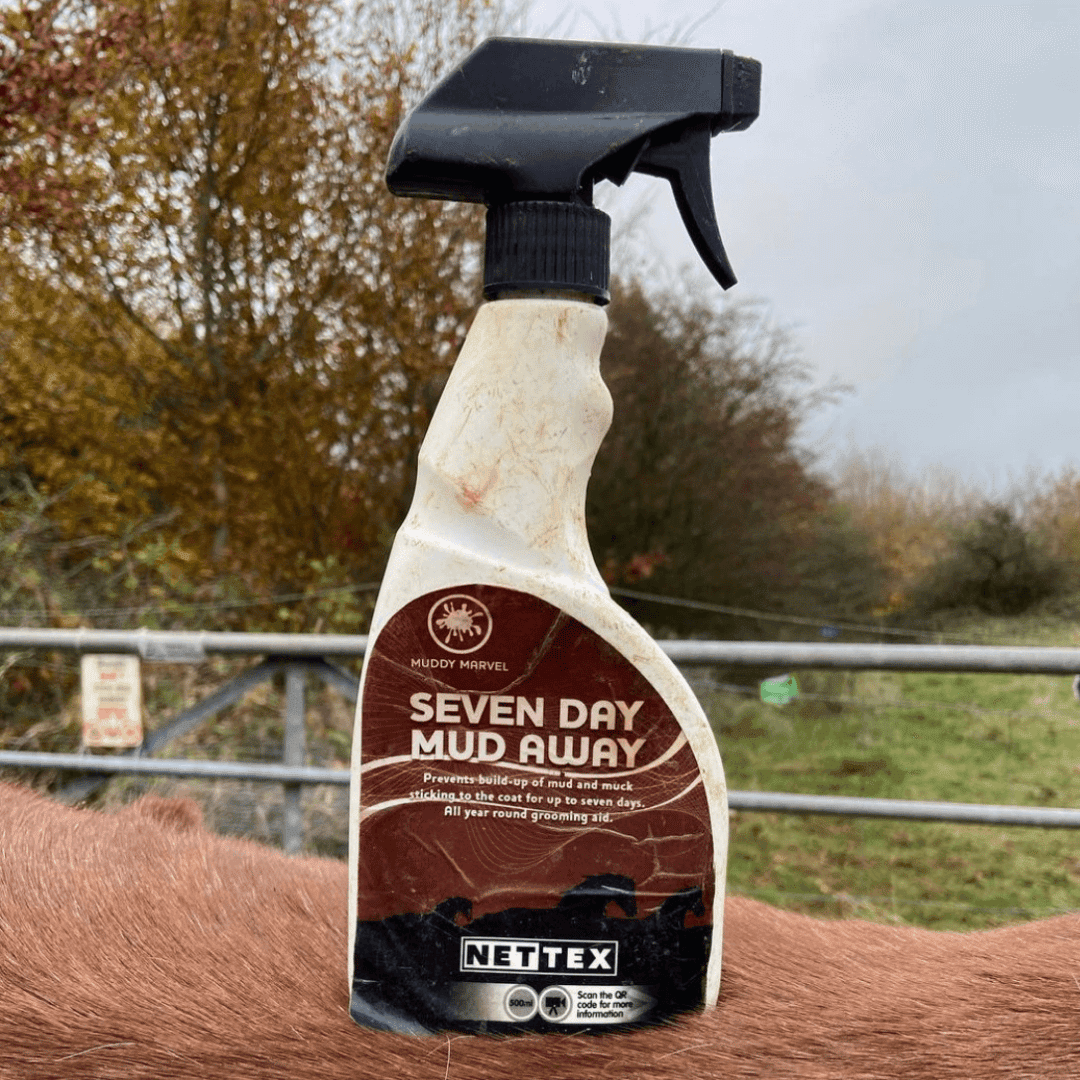 SEVEN DAY MUD AWAY - Three Horses SIA