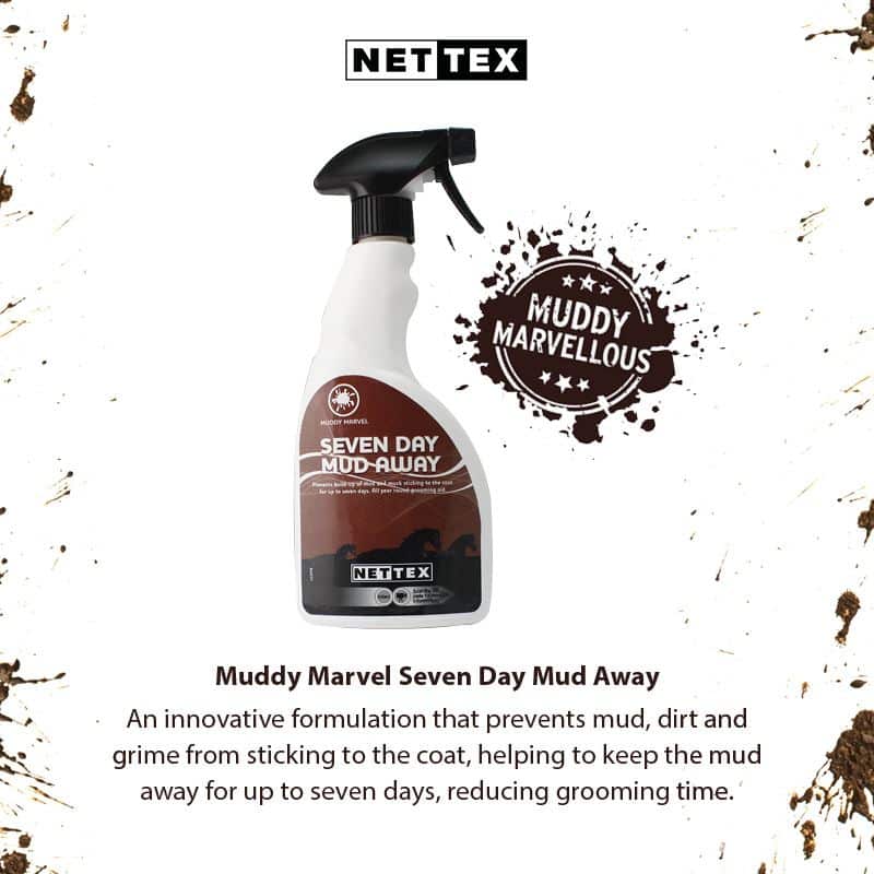 SEVEN DAY MUD AWAY - Three Horses SIA