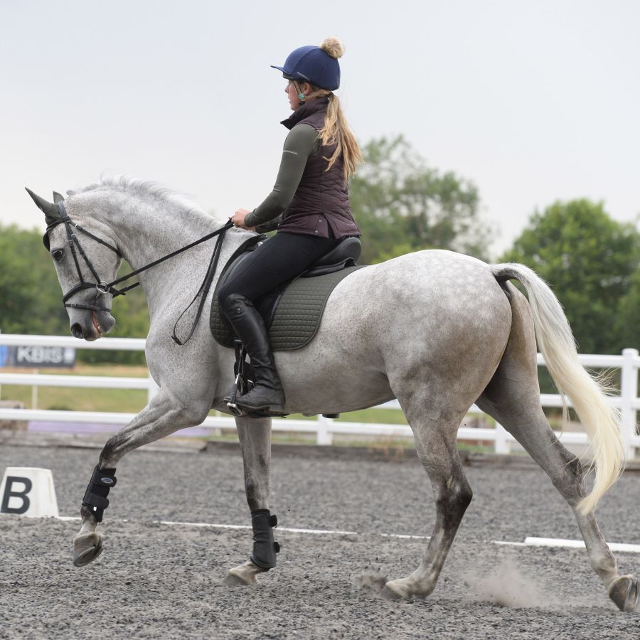 WEATHERBEETA PRIME DRESSAGE SADDLE PAD