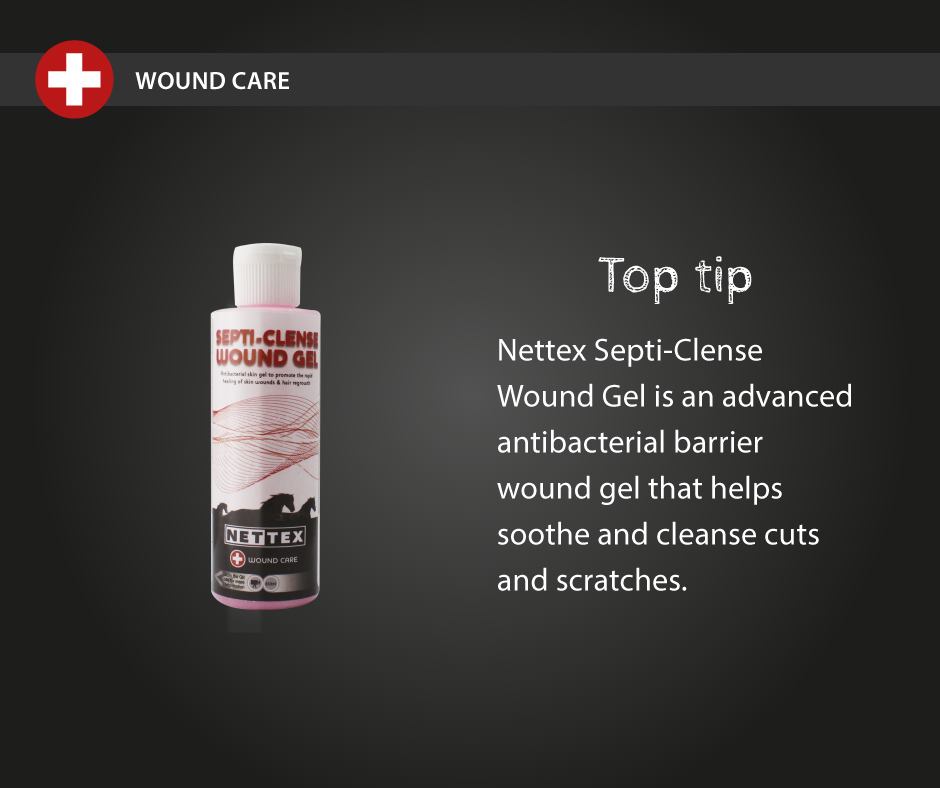 EQUINE VETERINARY SURGICAL SCRUB - Three Horses SIA