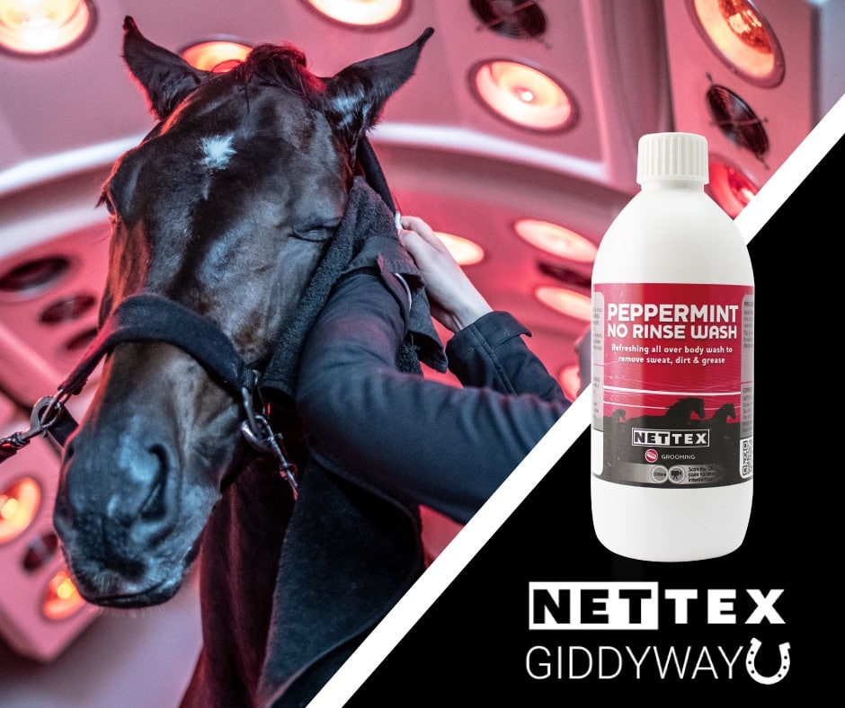 LAVENDER NO-RINSE WASH - Three Horses SIA