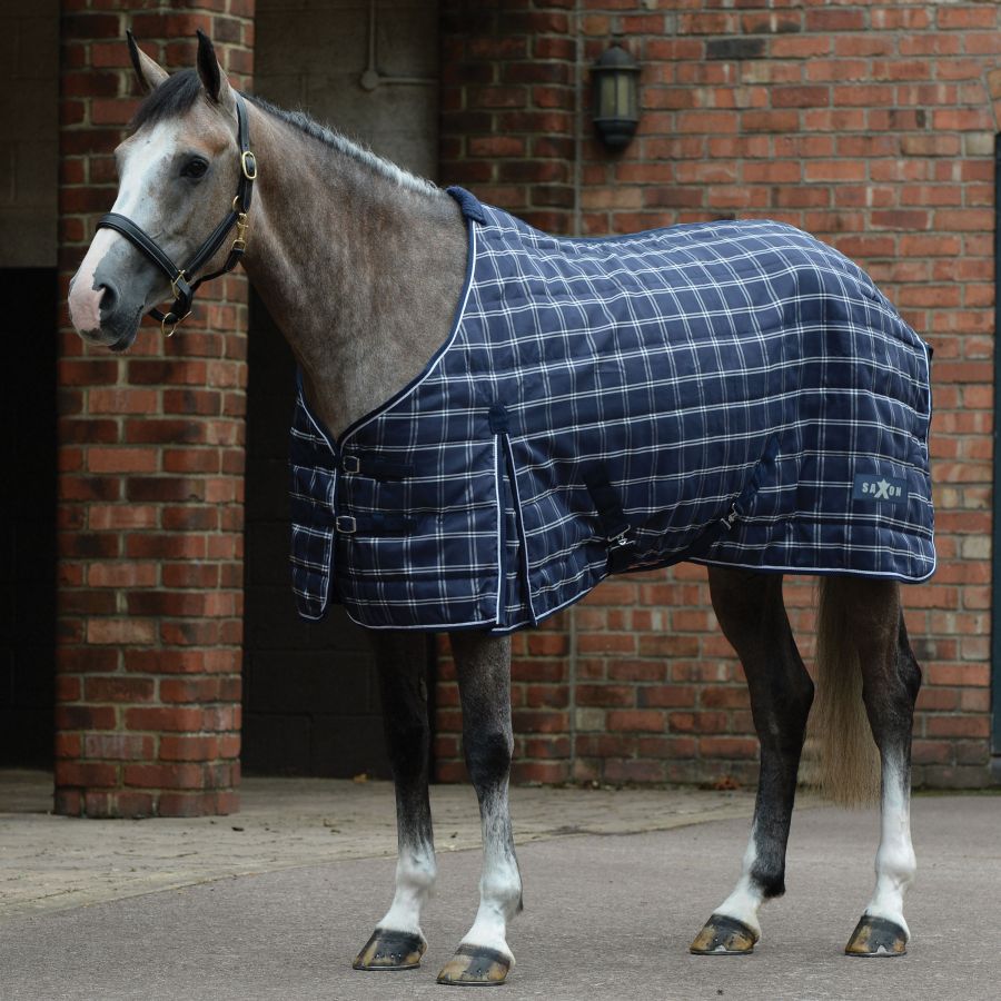 SAXON 1200D PP STABLE STANDARD NECK MEDIUM