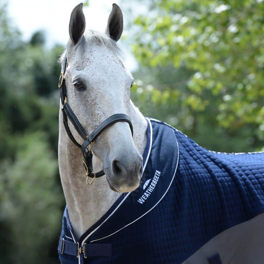 WEATHERBEETA THERMO-AIR COOLER STANDARD NECK