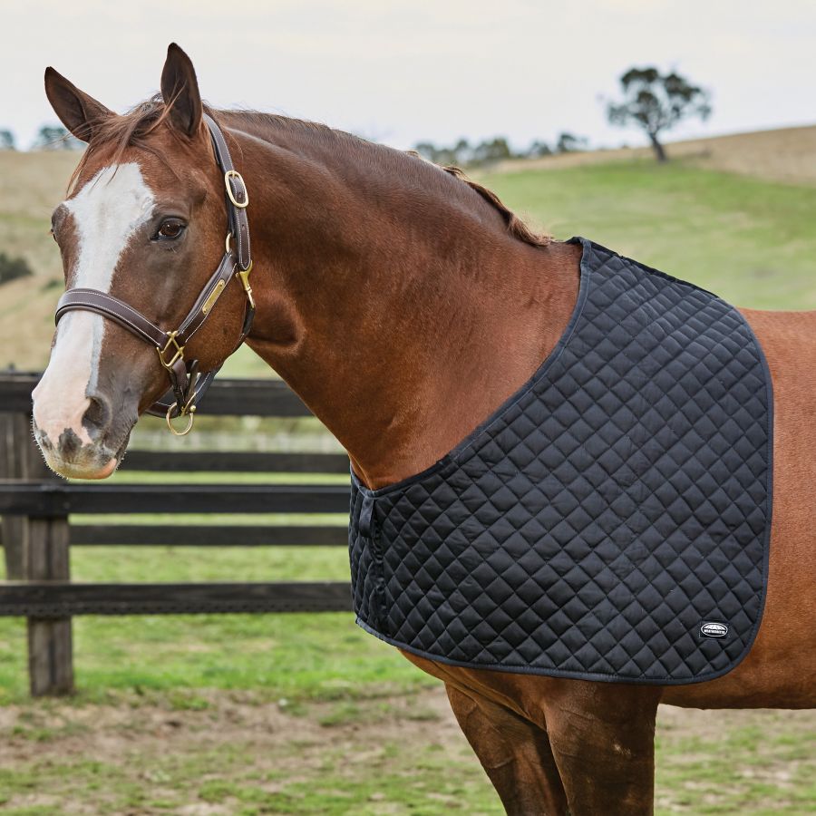 WEATHERBEETA DELUXE SHOULDER GUARD - Three Horses SIA