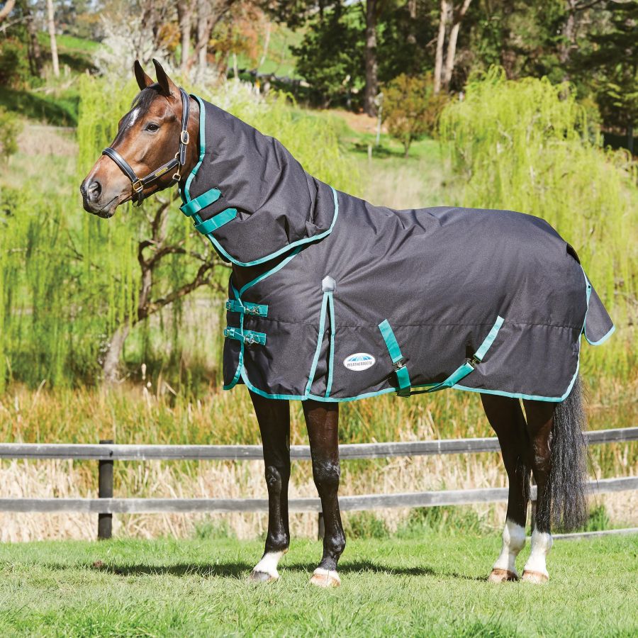 WEATHERBEETA GREEN-TEC 900D DETACH-A-NECK MEDIUM - Three Horses SIA