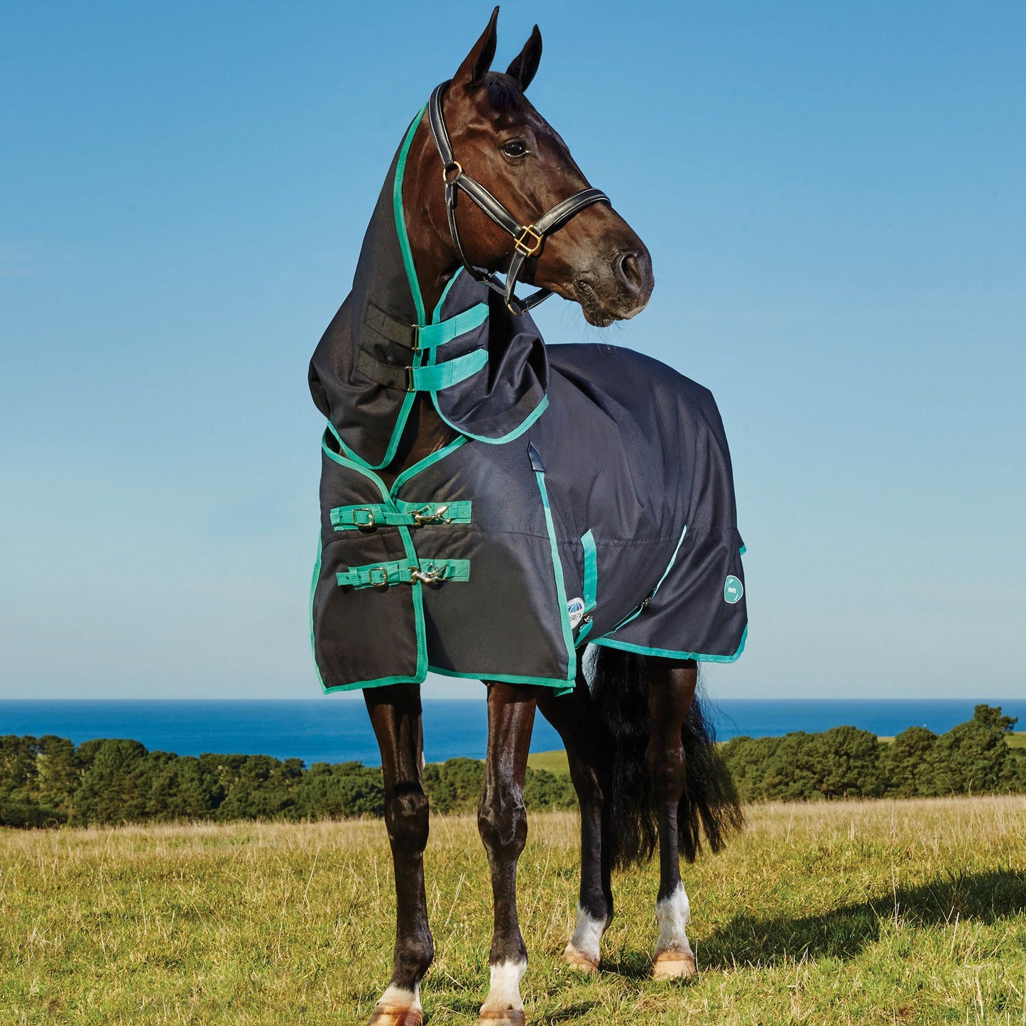 WEATHERBEETA GREEN-TEC 900D DETACH-A-NECK MEDIUM - Three Horses SIA