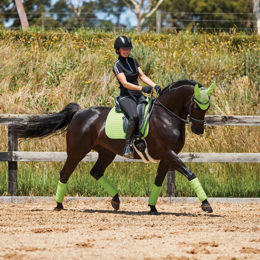 WEATHERBEETA PRIME DRESSAGE SADDLE PAD - Three Horses SIA