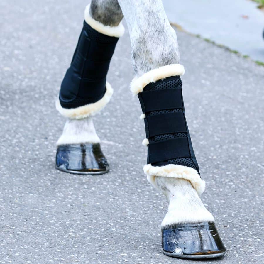 WEATHERBEETA PURE WOOL LINED EXERCISE BOOTS - Three Horses SIA