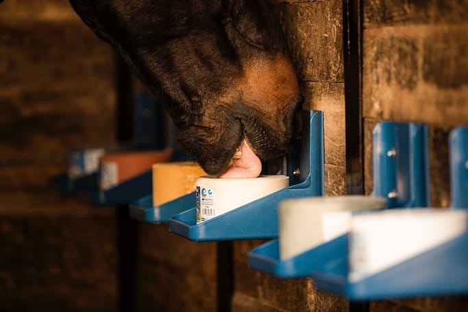 Plastic holder for salt blocks - Three Horses SIA