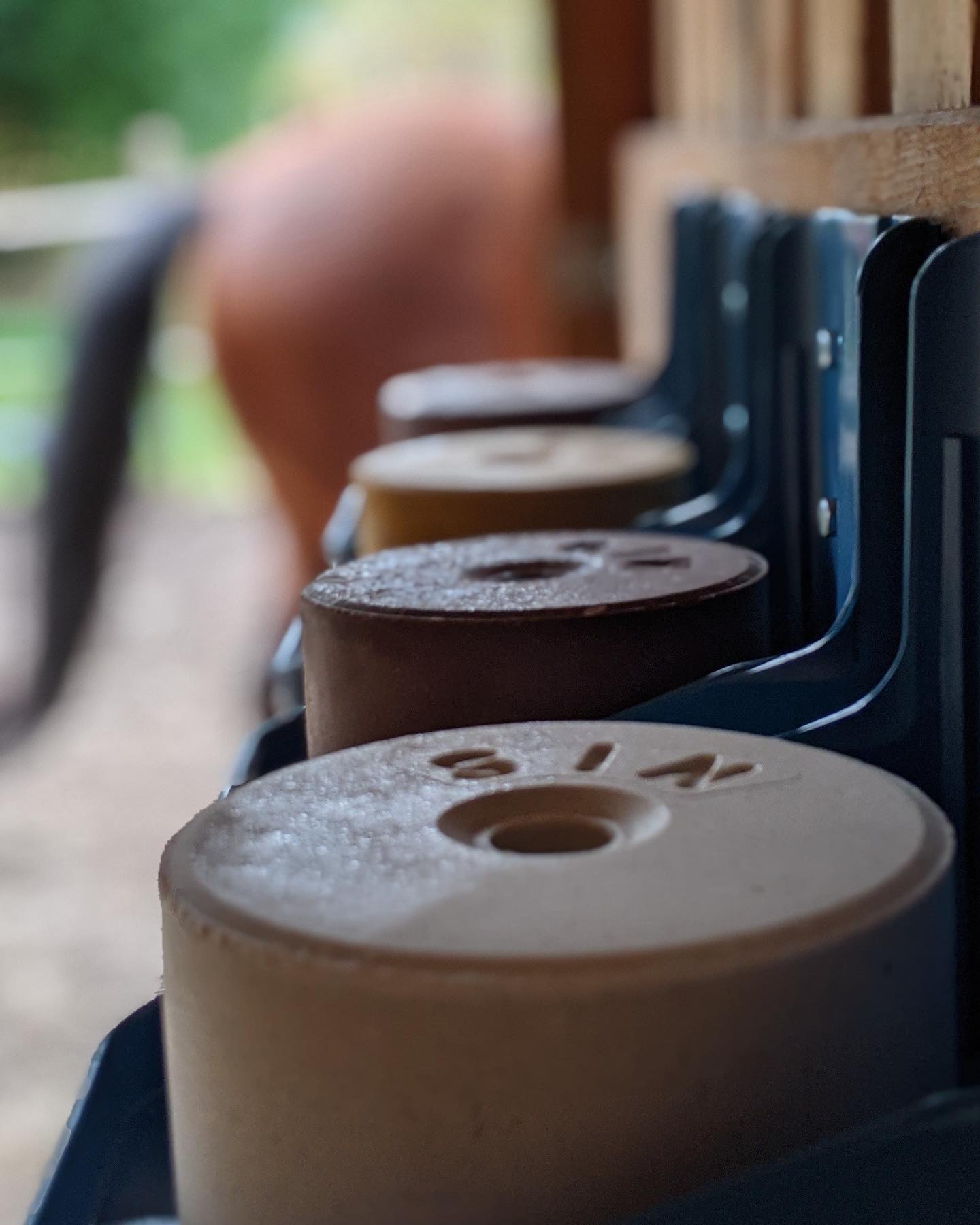 Plastic holder for salt blocks - Three Horses SIA