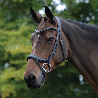 Bridles