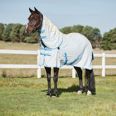 Fly rugs and summer sheets