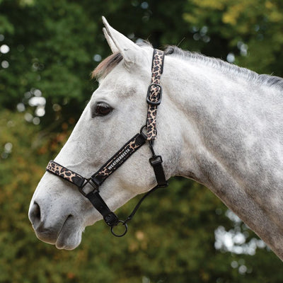 Headcollars and leadropes