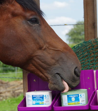 Treats and salt